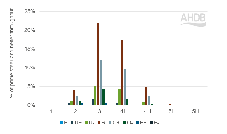 Graph showing confirmation proportions in 2024